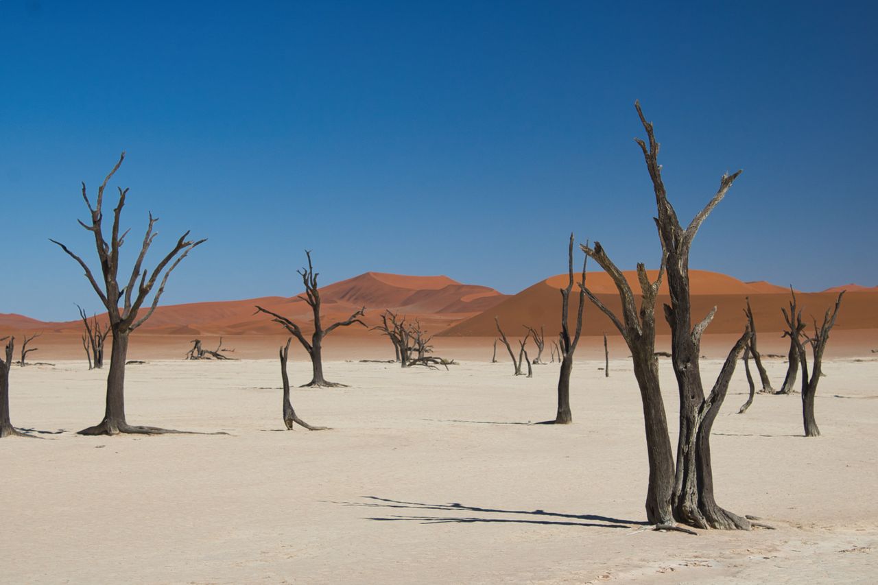 Namibia: Sossusvlei & Etosha